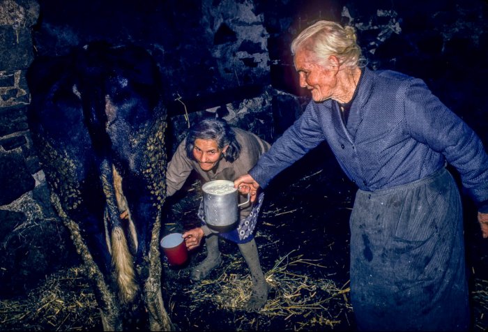 Catalan Rural People